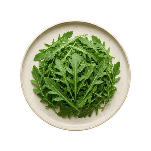 Fresh microgreens plate